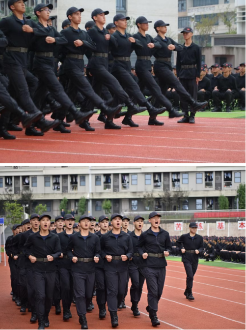 xBmV_1762325593330066586.png